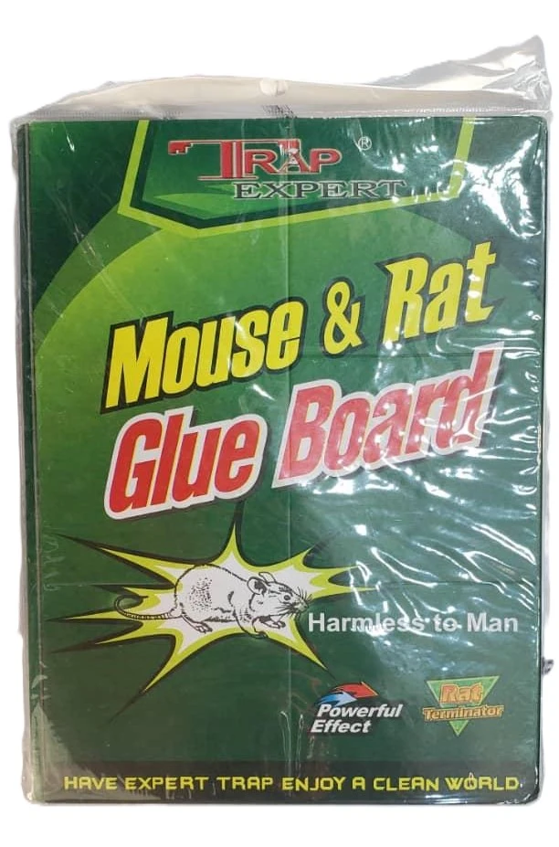 دفتر شلك فيران